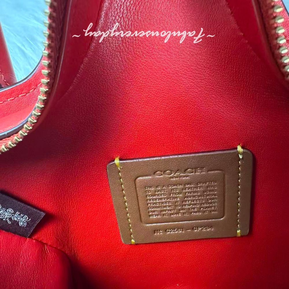 Coach Star Bag Crossbody In Regenerative Leather/Gold/ Red CP234 NWT - Picture 8 of 8
